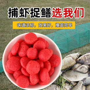 ���l����b���ӻ\�r�\�S�X���q���r�~�D�r����ƫ���T�DС���r�D��