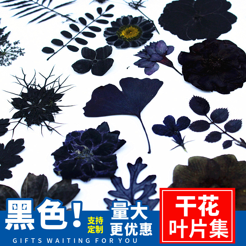 黑色干花diy材料跨境干花压花批發材料包植物标本干树叶贴画贴脸