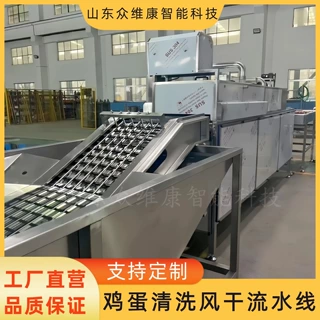 定制六排蛋品清洗流水线全自动大型洗蛋机咸鸭蛋清洗风干流水线