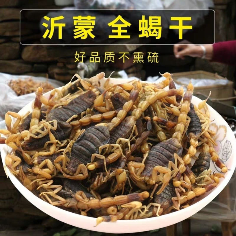 New Stock of Whole Scorpions, Dried Scorpions in Clear Water, Free Shipping, Good Quality, Real Scorpions, 500 Grams New Stock of Whole Scorpions, Dried Scorpions in Clear Water, Free Shipping, Good Quality, Real Scorpions, 500 Grams