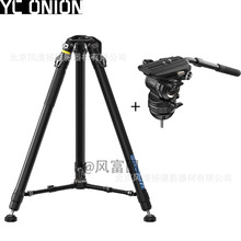 ��й���YCOnion Pineta Peak ����ϵ�����ż�̼��άһ��������