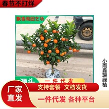 һ�����l������ۘ���ɰ���٘������������Ե��Թ����箔��Y����