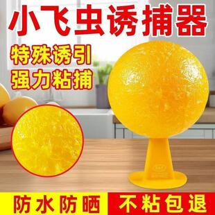 ��ωС�w�x�nω���������҃ȼ���ճ�w�x�������ˮ����N������