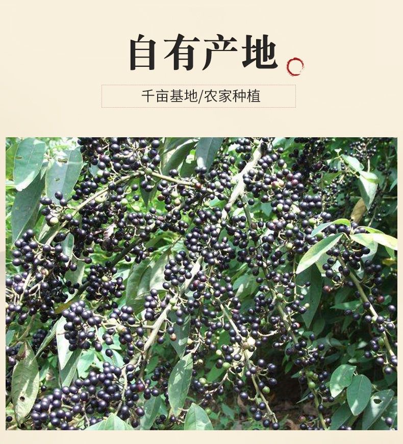 微信图片_20230613211009