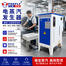 小型便携3-12kw蒸汽发生器 工业制衣家纺水洗熨烫电蒸汽锅炉设备