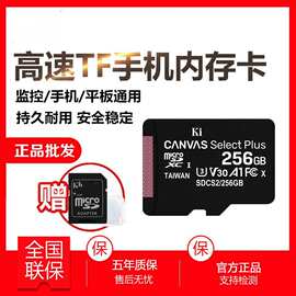 闪存高速卡tf卡256GB高速读写U3 V30 4K运动相机摄像机无人机存储