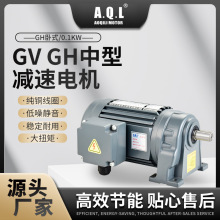 AQL奥奇力 GV GH中型减速电机 GH卧式/0.1KW 纯铜线圈厂家直发