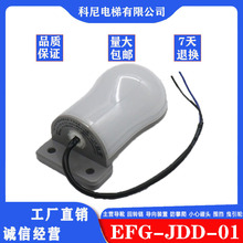 ݾEFG-JDD-01 220V ׿ LED