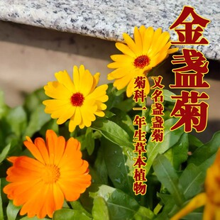 �M�ڻ������^��K�ջ��ܷN�ѻ��N���ܷN�Ӵ�ȫ�ݻ��N���ļ�����