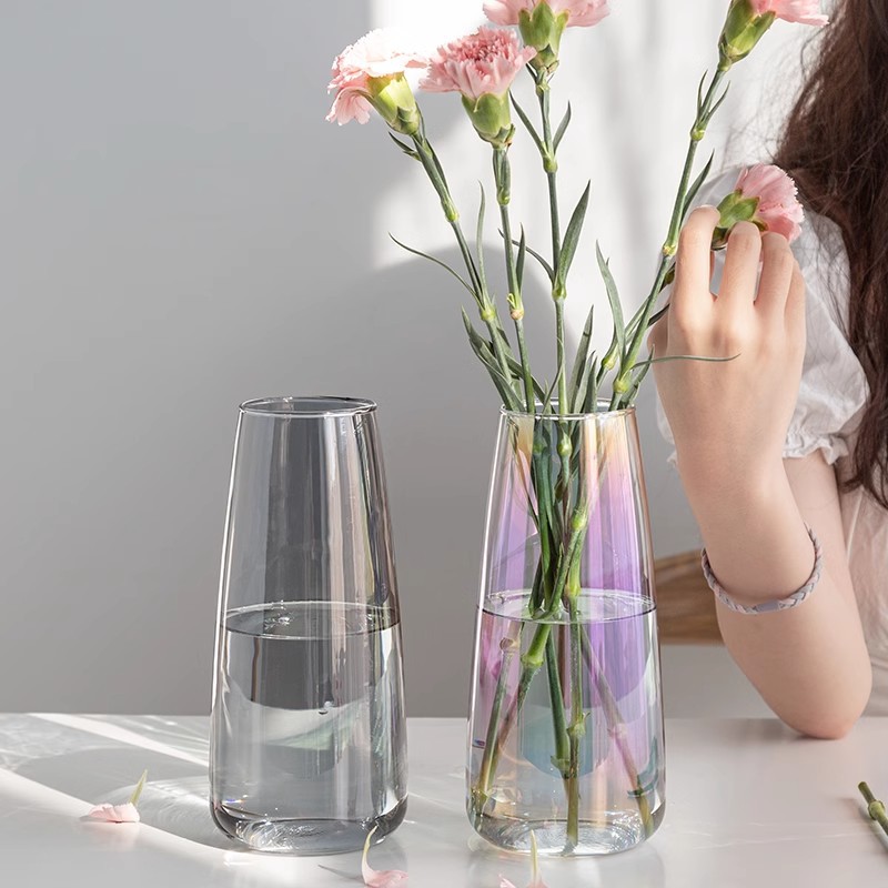 Suqu Nordic Ins Style Simple Glass Vase Hydroponic Flower Flower-arranging Small Vase Living Room Water-raising Creative Ornaments