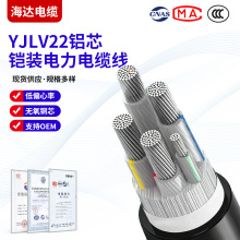 YJLV22   4-+1芯鋁芯聚乙烯絕緣聚氯乙烯護套低壓鎧裝電力電纜