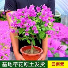 ÷پGֲͥԺ̨Ϙ绨ܻGl