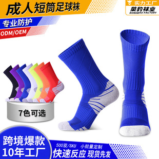 ��}R-BAO�����m�� ��Ͳ�г�����ĥë�����\���m�����m��Ͳ�mRB66