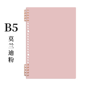 B5 쉘/모란디 파우더