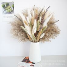 ���Sֱ���ɻ�������Ȕ��β�ݻ����������ƿ�廨�Ҿ����Q���l�F؛