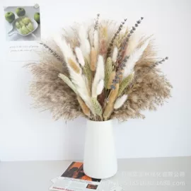 干花;永生花;竹木藤苇干草