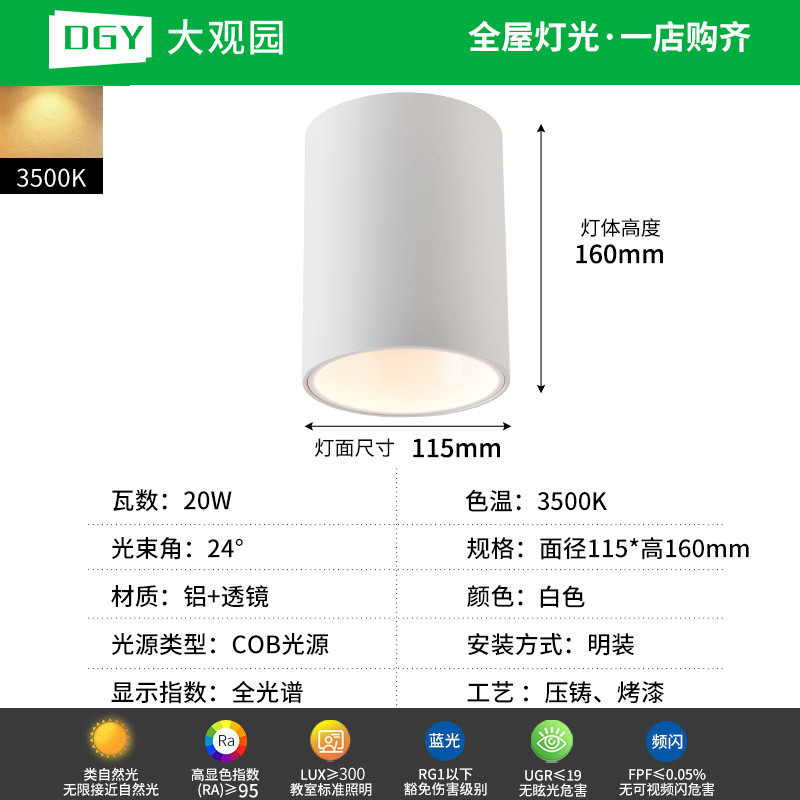 Da Guanyuan lámpara de techo Led Led Light Downlight House Pasillo de la sala de estar sin lámpara principal 495L image 32