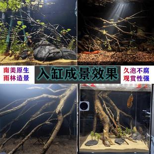 �S��ľ�㙉ľ�S��ľ¹��֦���������~���쾰һ�w��֦��ľ��ɫ�{ɫ