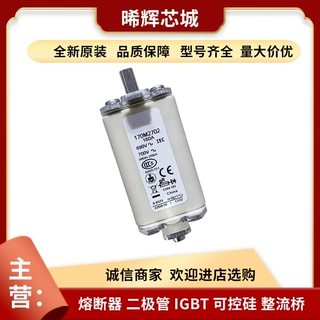 170M2620 170M2621 库存充足 型号齐全直流熔断器量大从优现货