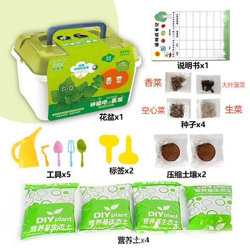 Jardín de infantes tareas de ciencia y educación para niños DIY plantación de plantas verdes plantas de flores en maceta semillas de regalo caja ciega