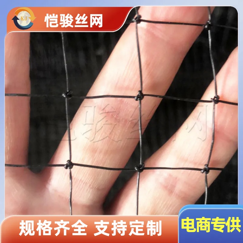 出口日本泰国现货库存pe编织单丝有结定型方孔方眼有结防护防鸟网