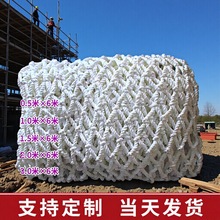 白色防护平网建筑工地防护网货柜网隔离兜网  尼龙防护网绳网