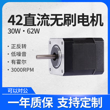 42BLF直流无刷电机高速3000转低压24V可调速有霍尔工厂直销现货