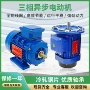 全铜三相异步380v电动机