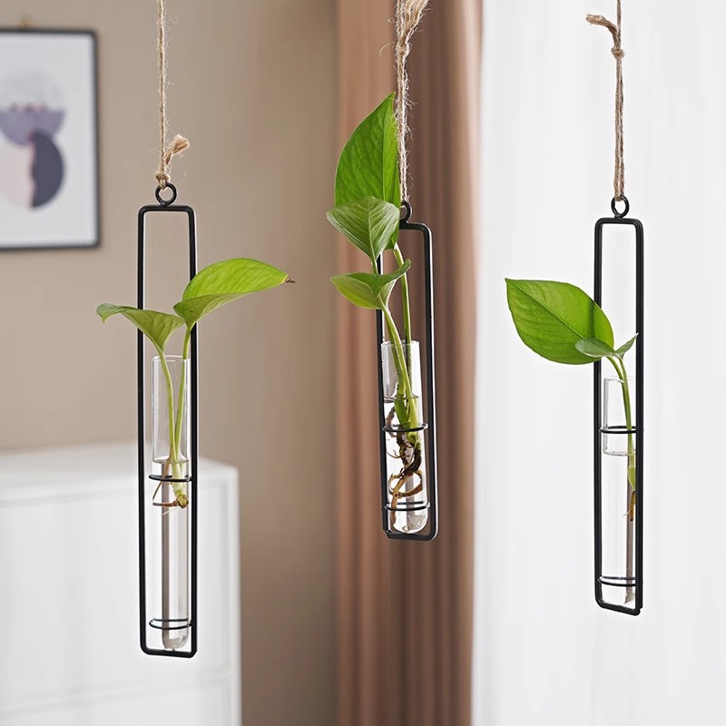 Creative Hanging Hemp Rope Hydroponic Pendant Wrought Iron Glass Vase Living Room Wall Hanging Hydroponic Pothos Plant Container Wall Decoration