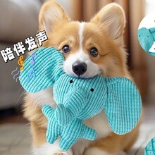 ���������ҧĥ����Ȯ����ë�q�l���˽␞��С��Ȯ������Ʒ