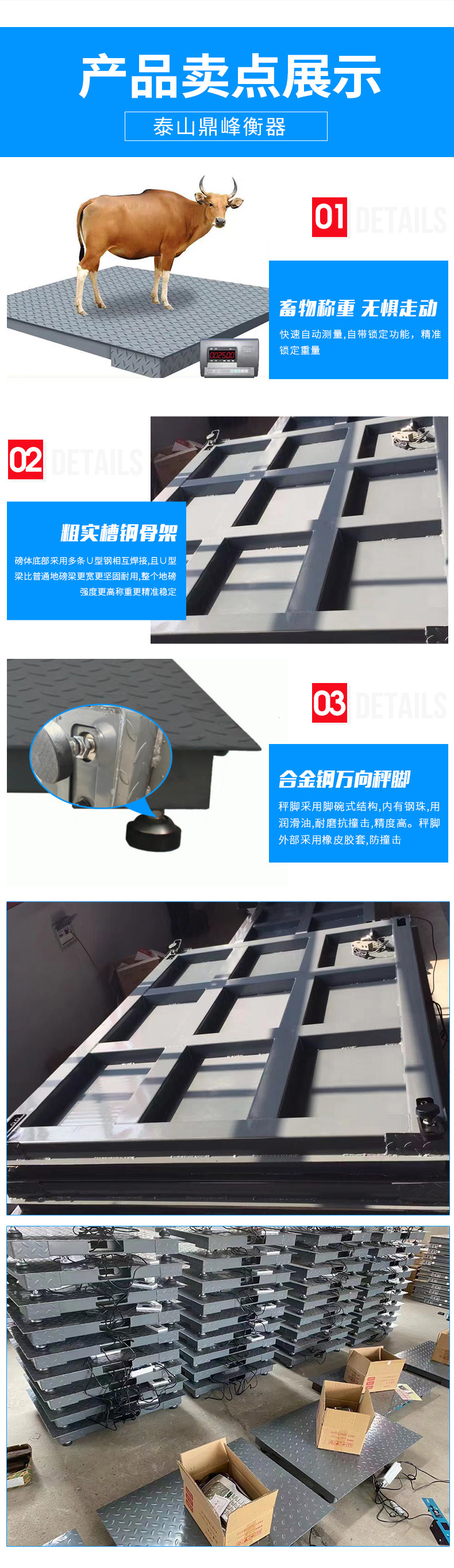 电子地上衡-1_07.jpg