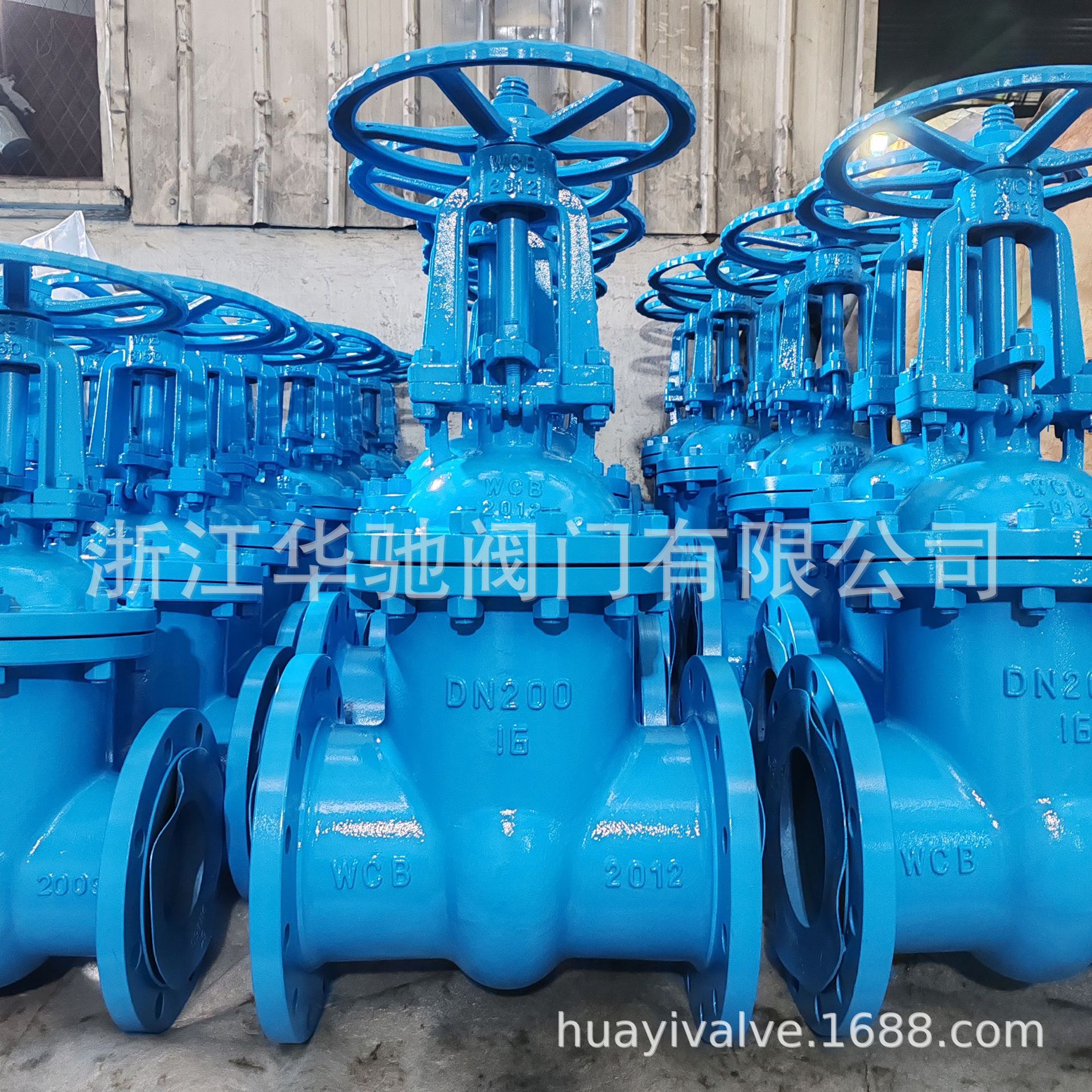 Z41H-16C-DN200 3048.jpg