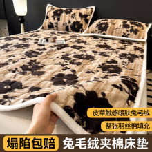 ������ë�q�Ӻ�A�޴��|�W���������ɺ���q����ţ�̽q䁴�ܛ����