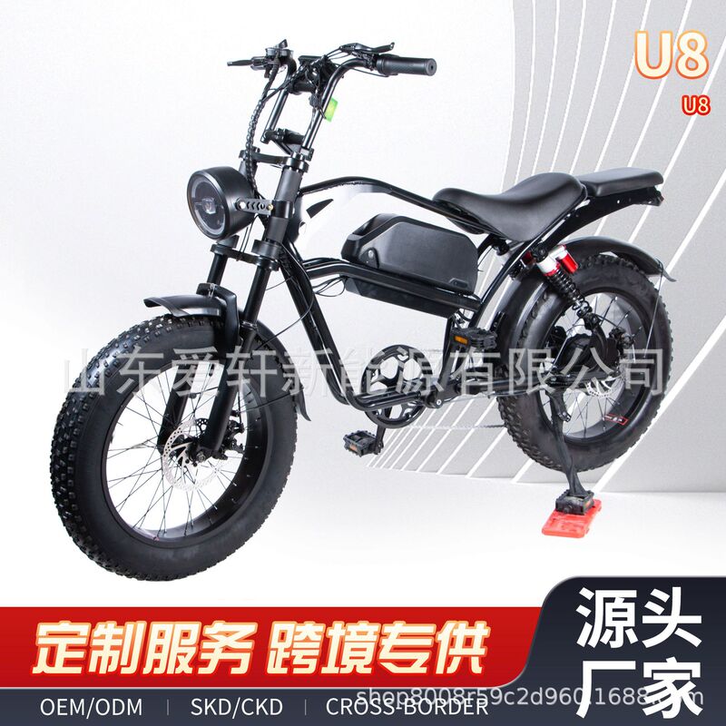 Retro Dual-Seater Electric Bicycle 20inch Rear Suspension Off-Road Electric Assist Bike Adult Beach Lithium Electric Bicycle Retro Dual-Seater Electric Bicycle 20inch Rear Suspension Off-Road Electric Assist Bike Adult Beach Lithium Electric Bicycle