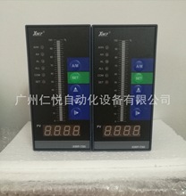 XWP-T804-02-12-2H2L-P智能单回路光柱显示控制仪液位水位控制器