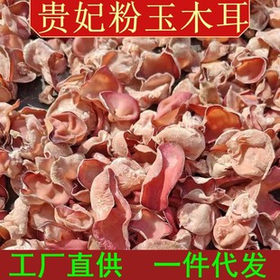 ��ľ�� �F��ľ����؛���l �|������ľ����؛�S��ֱ�����һ�����l