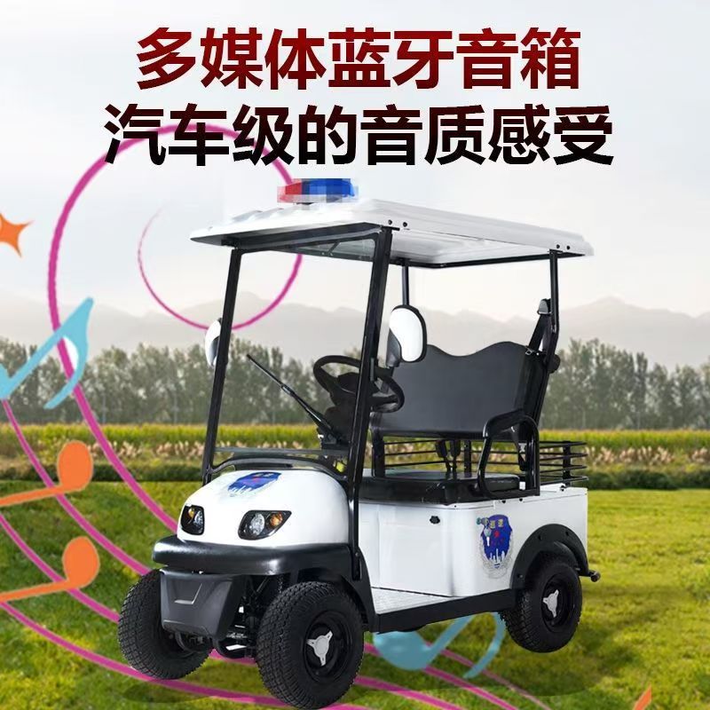 The New Bonderson E600 Electric Four-Wheeler with Steering Wheel and Two Seats Is Suitable for Property Patrol Electric Vehicles