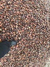 �|����ɫ�Z��ʯӢʯ����ʯ���|�Z�ѵ[ʯ�V���N�۲����|ʯ