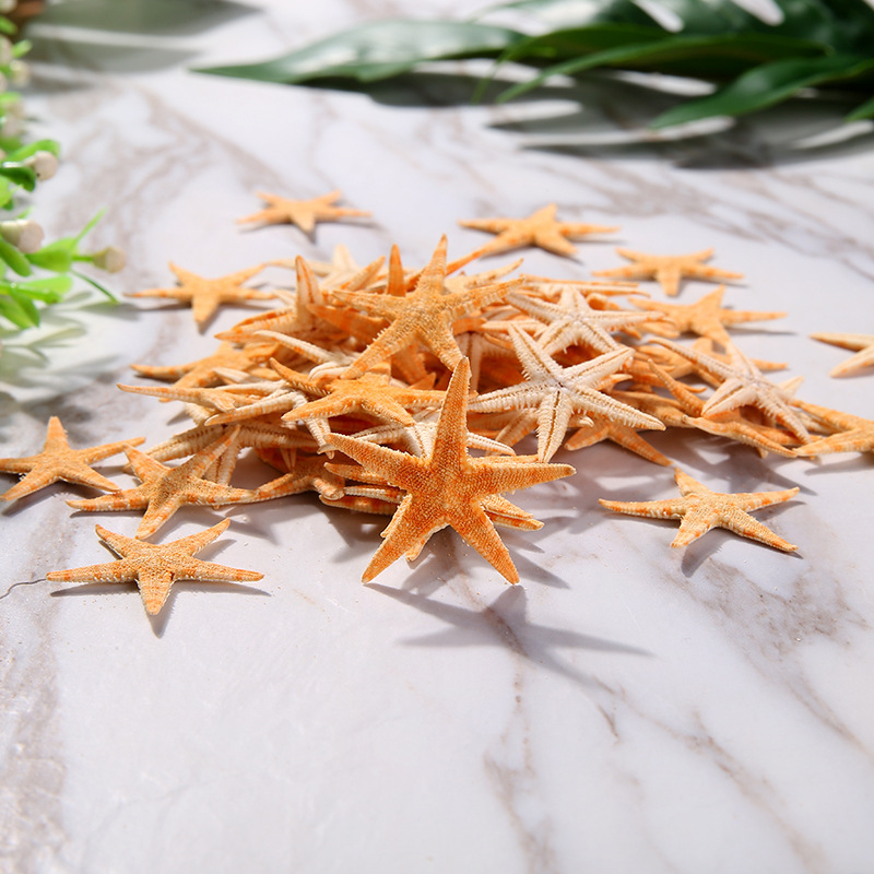 9142802233_373119200