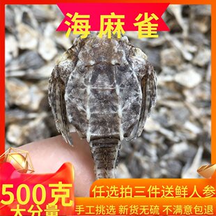 ����ȸ��؛500�˰��] �O���ԕ��˴��亣���B���Ҝ��ݾ���