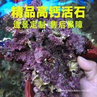 免爆藻活石新鲜高钙深海片状海水过滤鱼缸珊瑚缸多孔微生物造景石-阿里巴巴