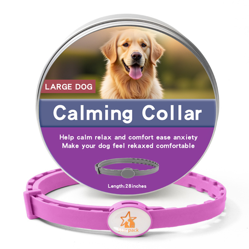 맞춤형 대형견 상자 보라색 72CM