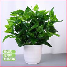 ����ֲ��پGֲ���滨�Ʒ�W�ɿ͏d���ҾƵ�������ϔ[���G�}����