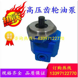 P124-G25 10/05液压齿轮油泵G16替代G20天津泊姆克双联三联PERMCO