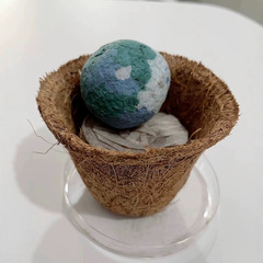 育苗セット栽培園芸セットDIY立体愛種子地球発芽可能分解性環境保護芸術紙