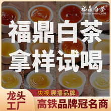 白茶老白茶饼散装礼盒装茶叶散茶 10g免费试喝装福鼎白茶拿样专用
