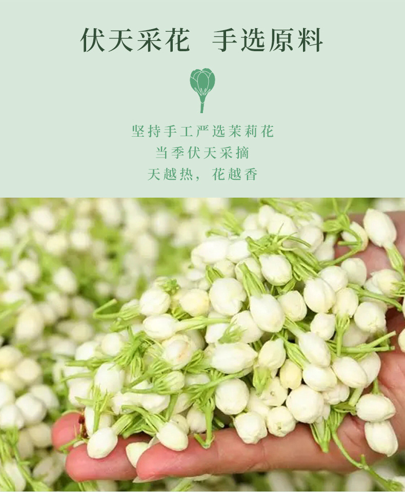 茉莉花茶-铁罐_04.jpg