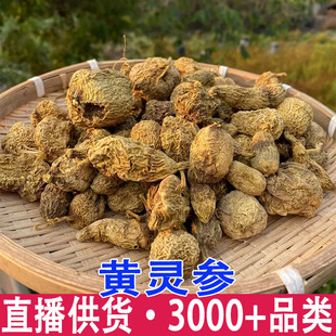 �S�`�� ɢ�Y�Y ���l����ă�