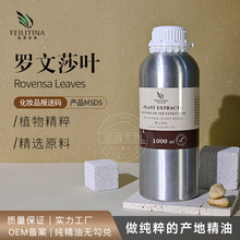 罗文莎叶精油植物提取桉油樟原料面部护肤芳疗香薰调香单方精油