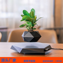 磁悬浮盆景空中创意盆景植物花卉奇特风家居办公室内盆景摆件跨境